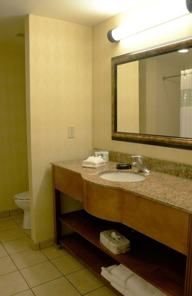 Hotel Hampton Suites Birmingham Hoover