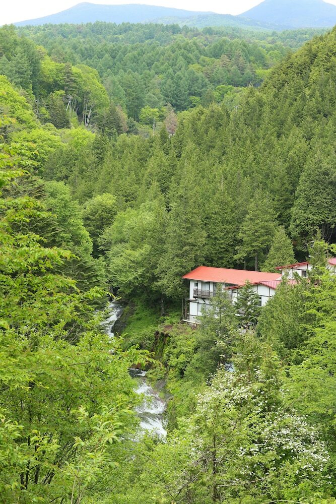 Hotel Meiji Onsen Ryokan