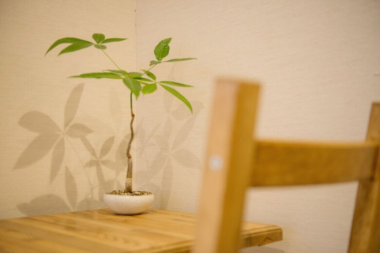 Hostal Guest House Denchi