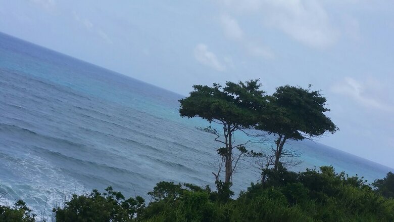 Hotel Sea Cliff Resort
