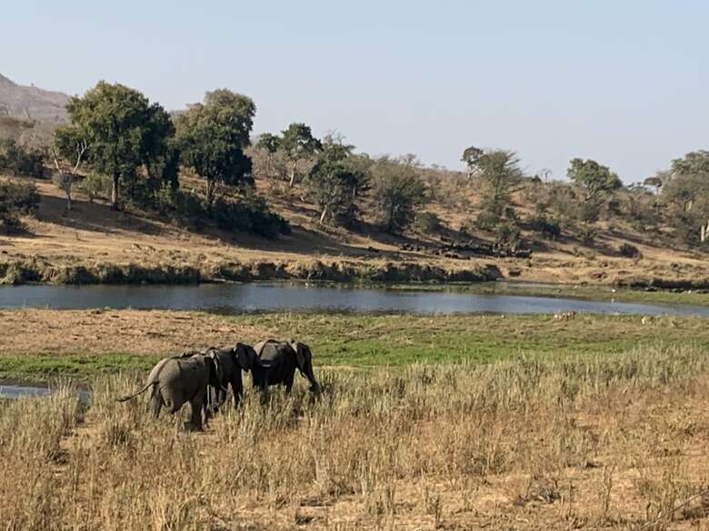 Posada Kambaku River Lodge