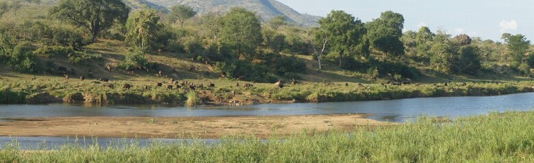 Posada Kambaku River Lodge