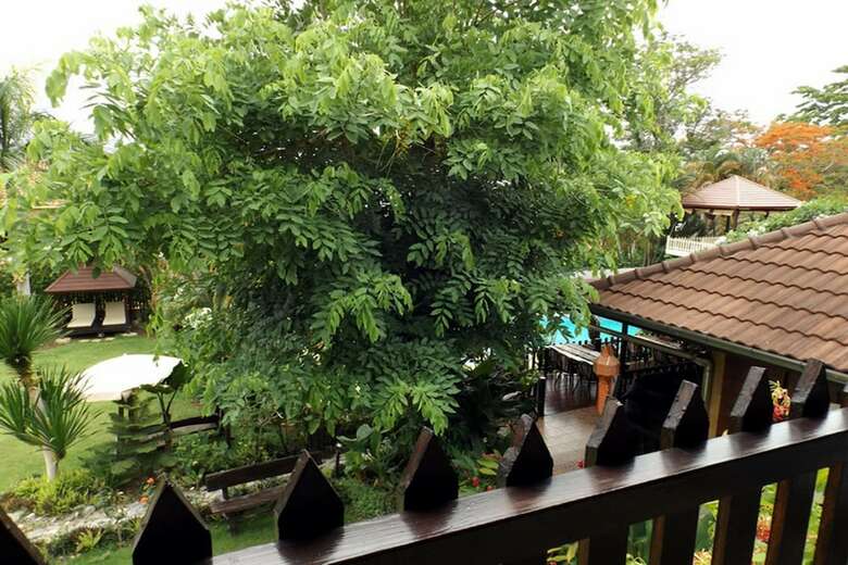 Hotel Homestay Chiang Rai