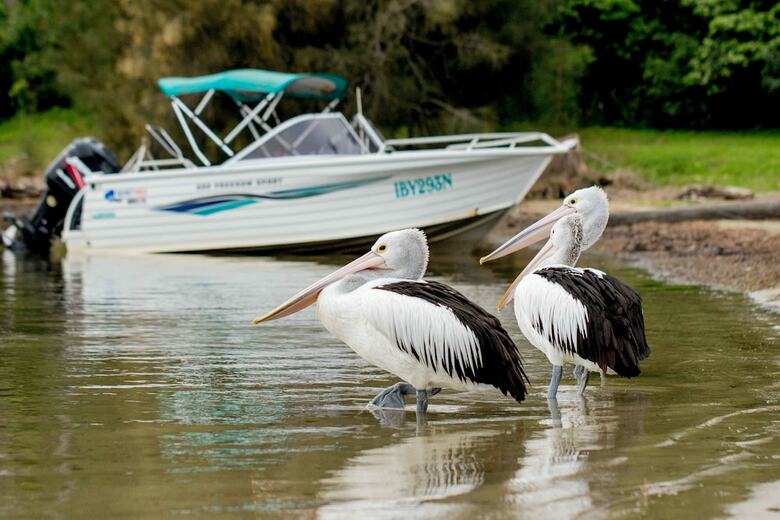 Ingenia Holidays Ocean Lake