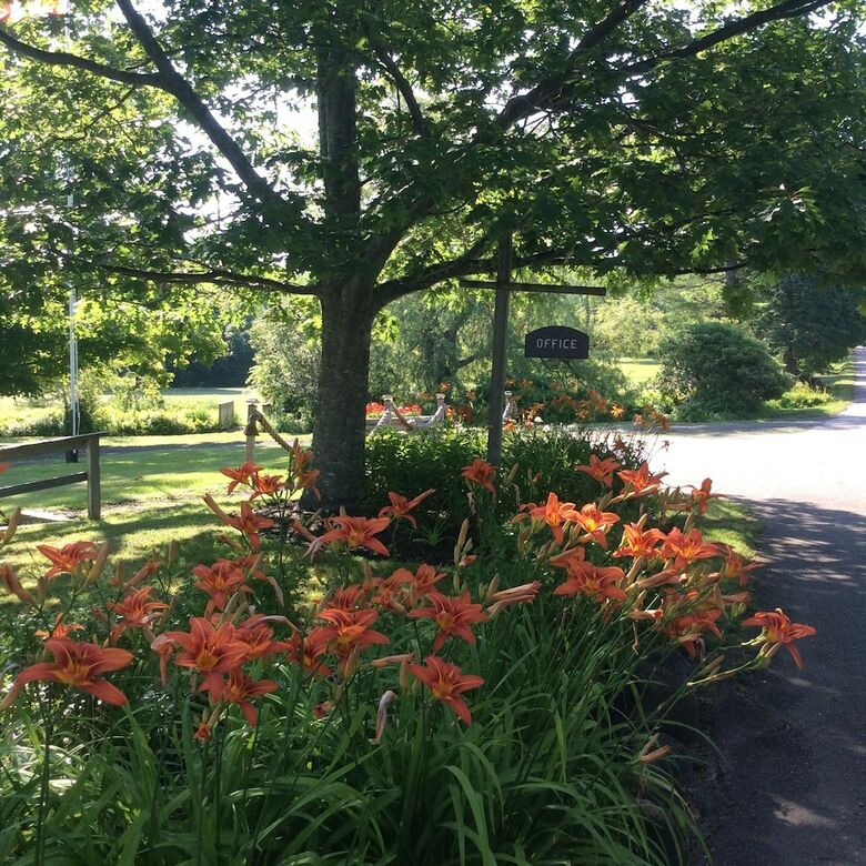 Villages Of Mountain Gap Cottages
