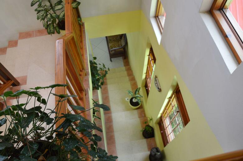 Hotel Tropical Paradise View