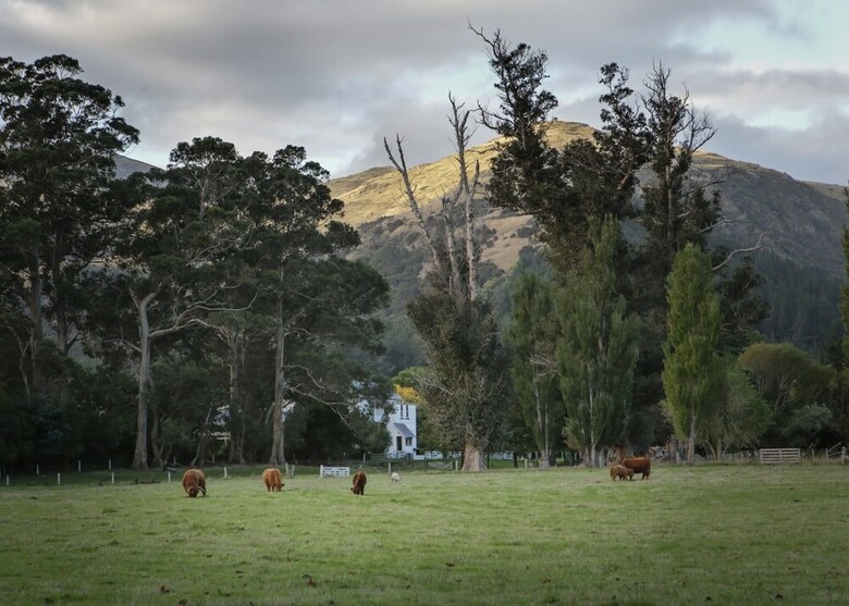 Bed & Breakfast Kaituna Valley Homestead