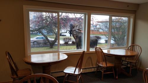 Motel Lakeshore Inn & Suites