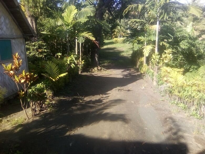 Hotel Tanna Lava View Bungalows