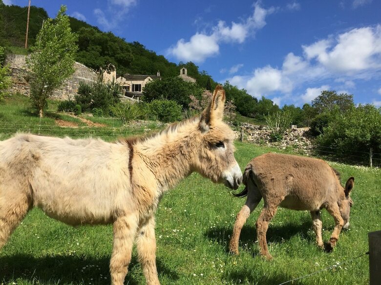 Bed & Breakfast Hermitage Saint Pierre