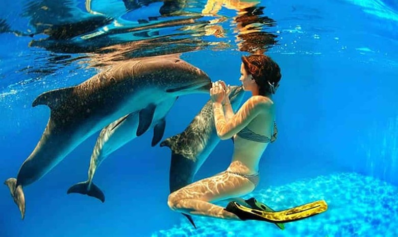 Ocean Villas Apart Hotel