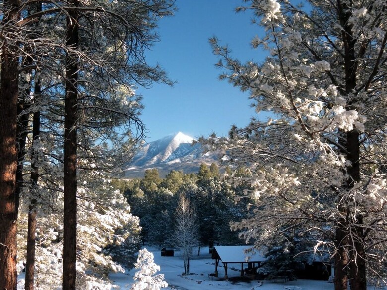 Arizona Mountain Inn And Cabins