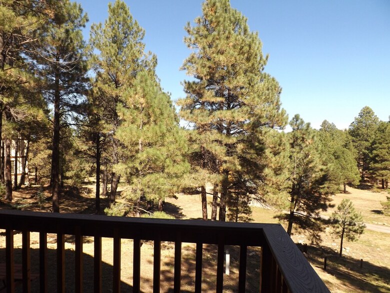 Arizona Mountain Inn And Cabins