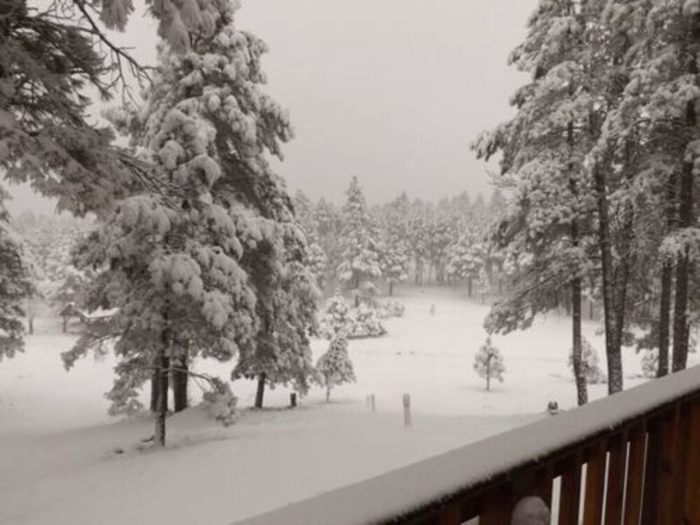 Arizona Mountain Inn And Cabins