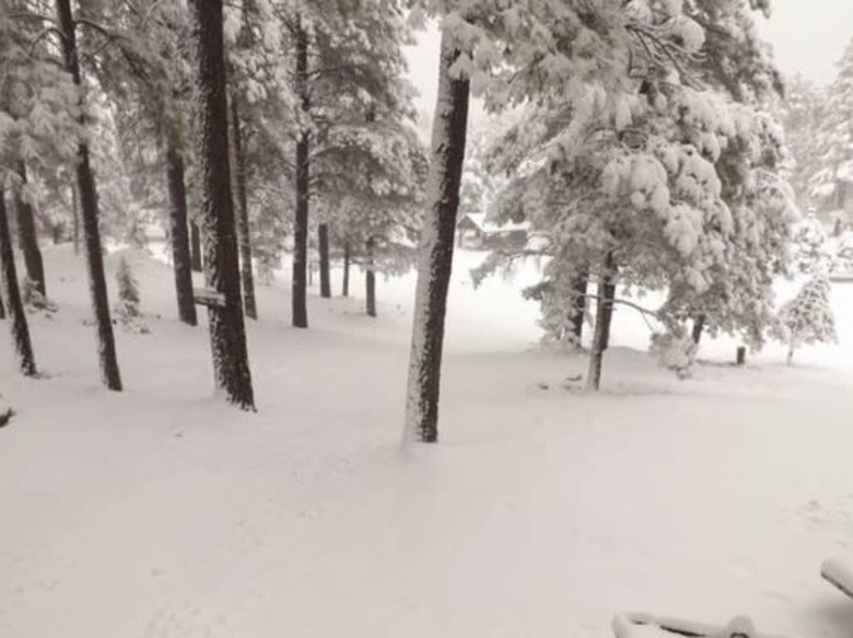 Arizona Mountain Inn And Cabins
