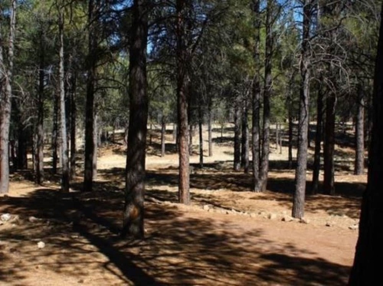 Arizona Mountain Inn And Cabins