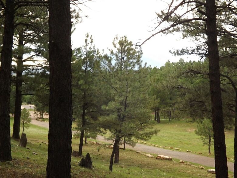 Arizona Mountain Inn And Cabins