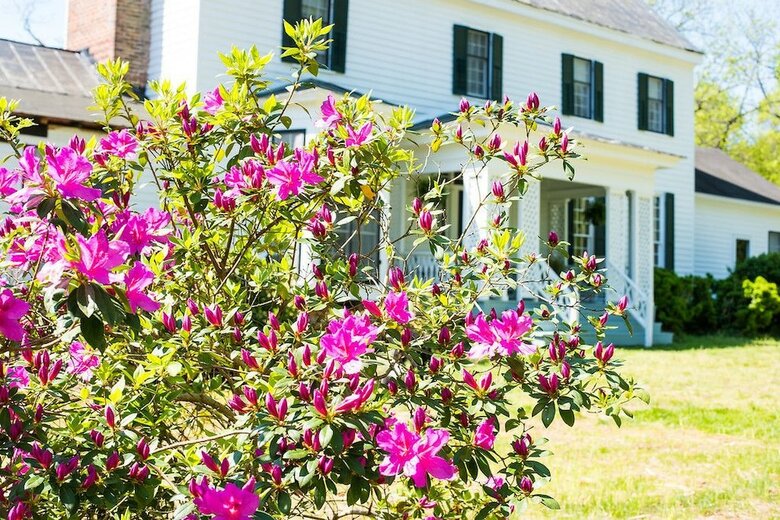 Bed & Breakfast Oak Grove Plantation