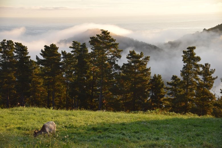 Agroturismo Kurtxia Landetxea