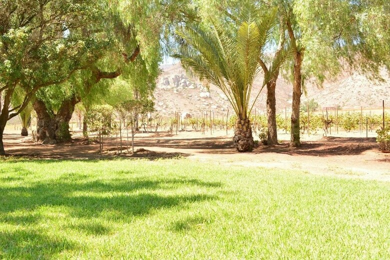 Rancho Toros Pintos