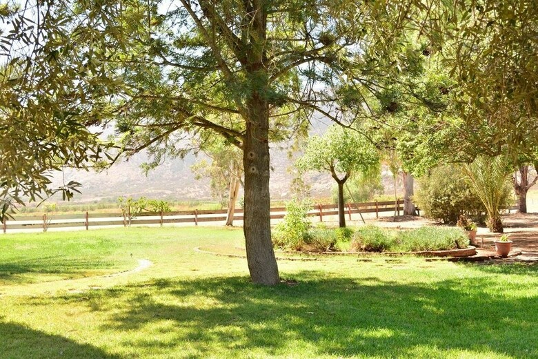 Rancho Toros Pintos
