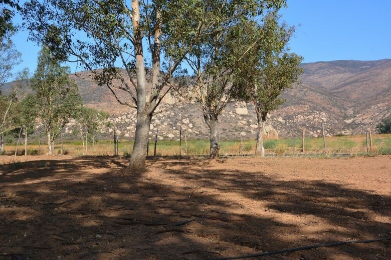 Rancho Toros Pintos