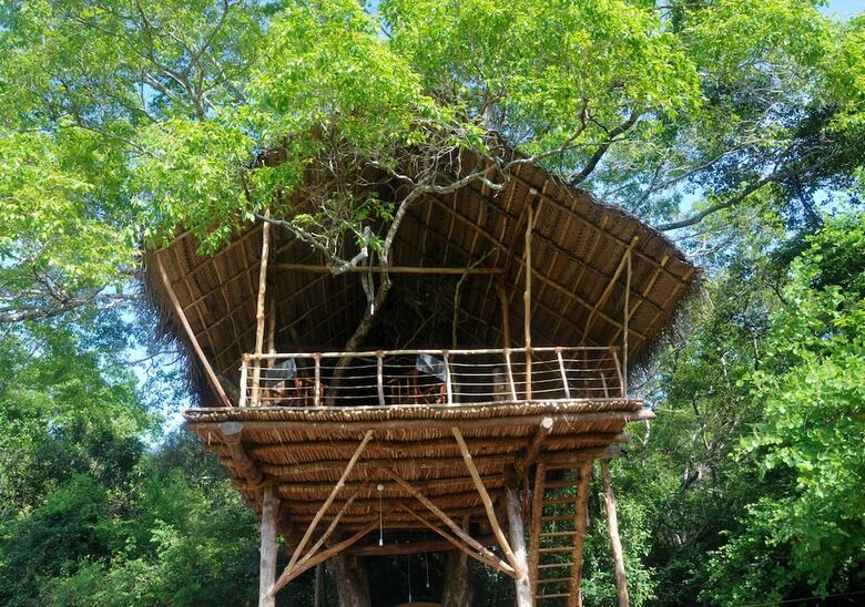 Cabana Back Of Beyond - Dehigaha Ela