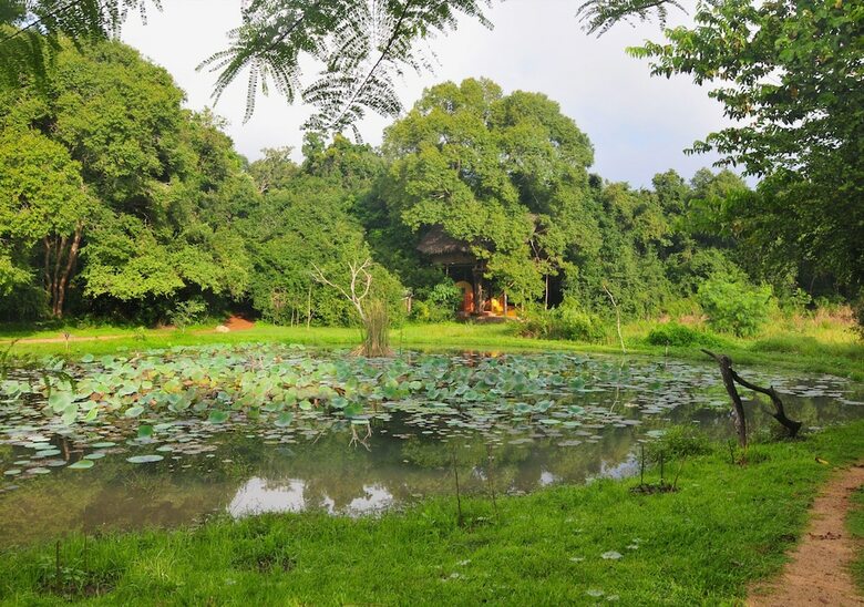 Cabana Back Of Beyond - Dehigaha Ela
