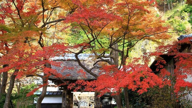 Hostal Webase Kamakura - Hostel