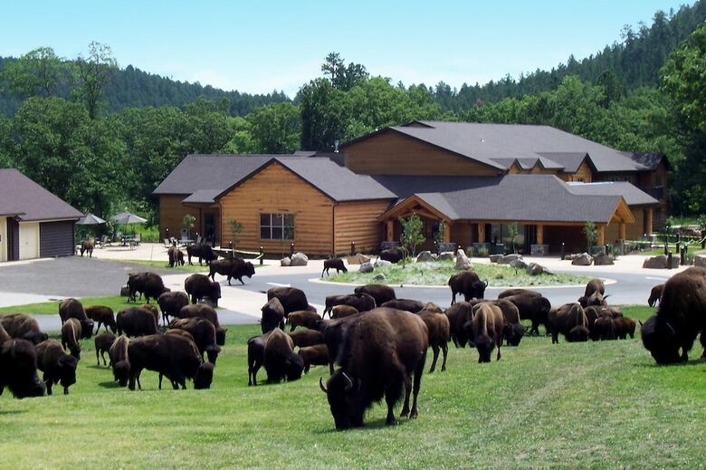 Apartamento State Game Lodge At Custer State Park Resort