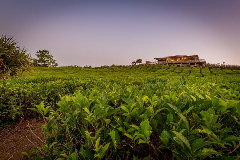 Hotel Bubble Lodge Bois Ch�ri