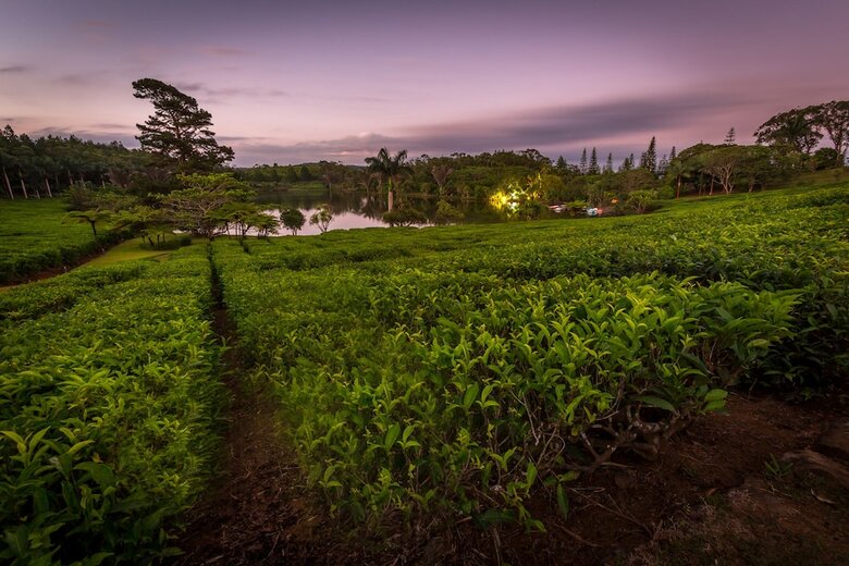 Hotel Bubble Lodge Bois Ch�ri