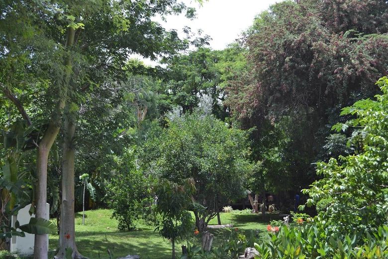Posada Tambuti Lodge