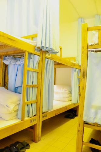 Lazy Inn Hostel