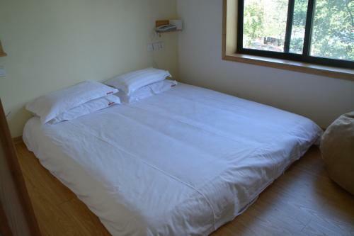 Lazy Inn Hostel