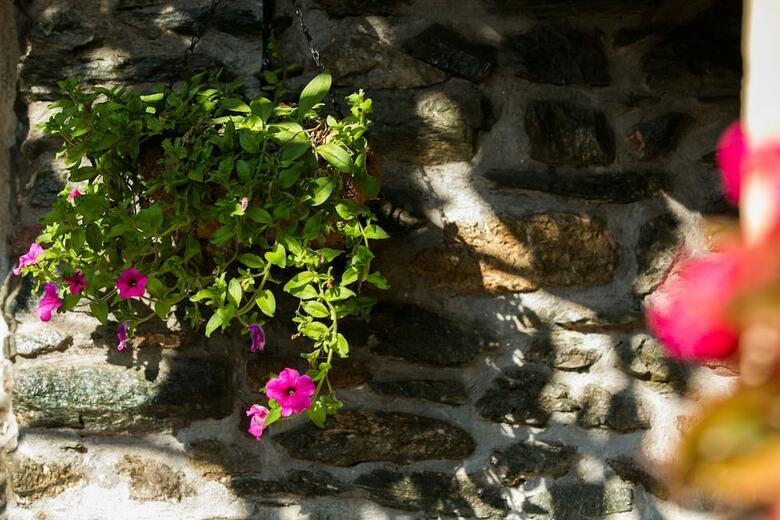 #halu! Authentic City Centre Villa