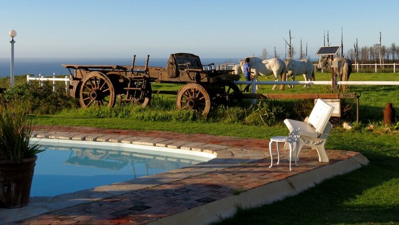 Bed & Breakfast T'niqua Stable Inn