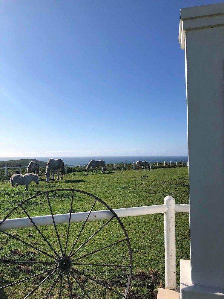 Bed & Breakfast T'niqua Stable Inn