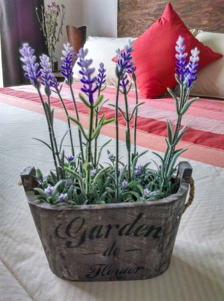 Casa Lavanda