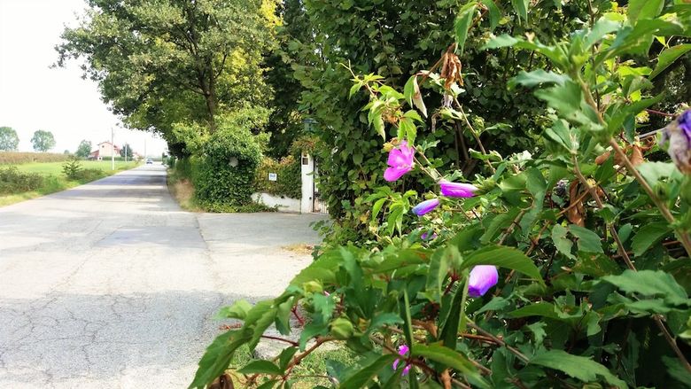 Bed & Breakfast Villa Maria Sole