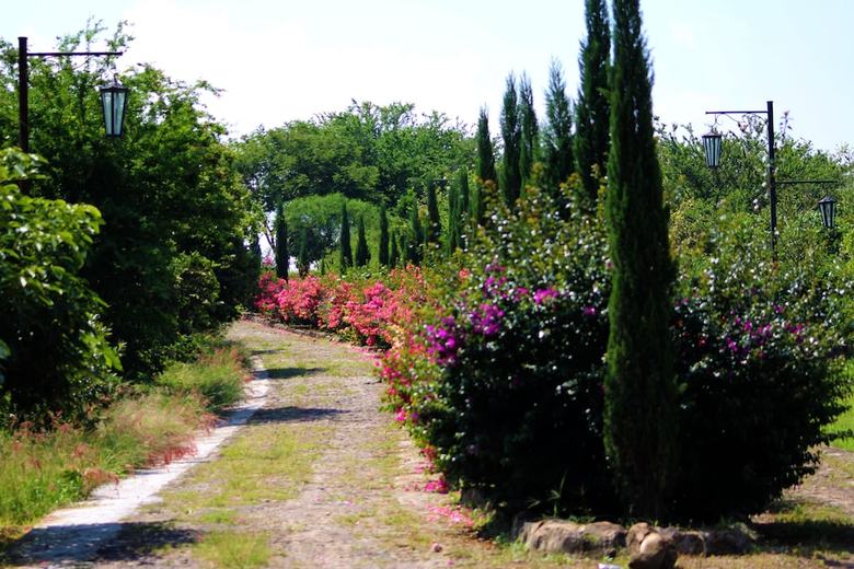 Posada Hacienda San Nicolas de Las Fuentes