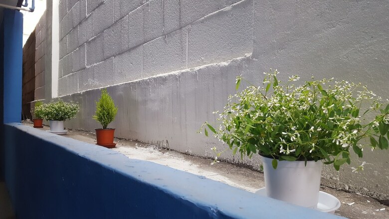 Hostal Seoul Forest Guesthouse - Hostel