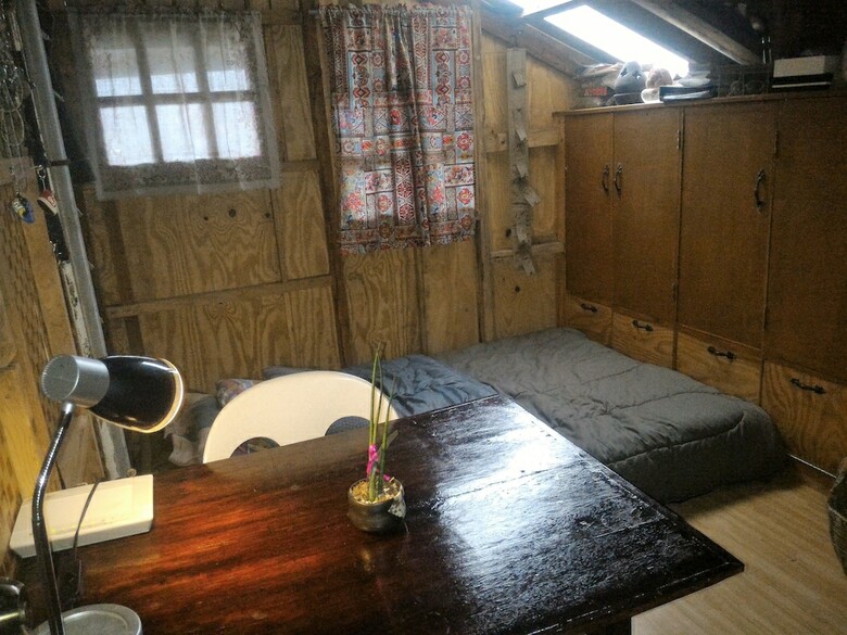 Hotel Tribuhaus Backpackers Inn