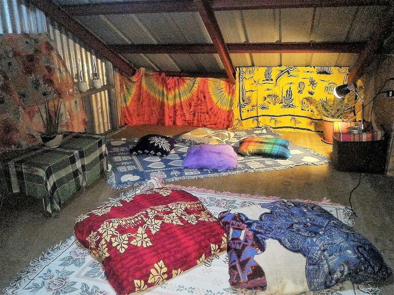 Hotel Tribuhaus Backpackers Inn