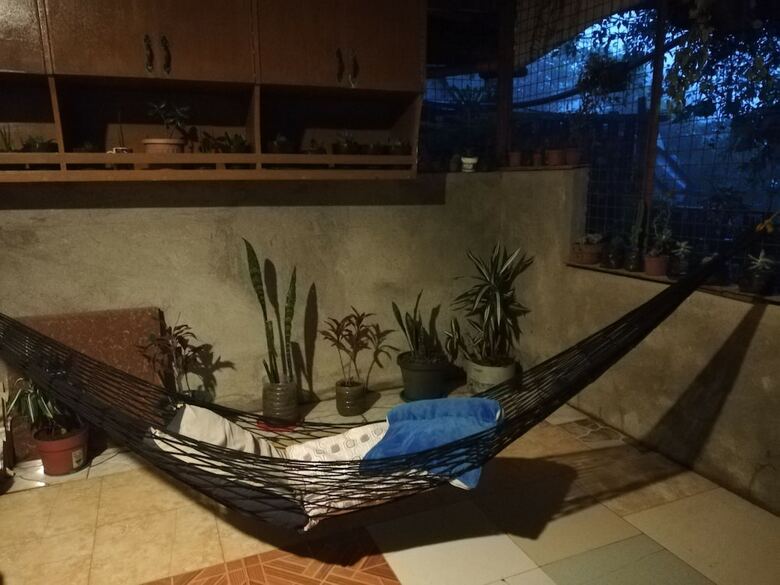 Hotel Tribuhaus Backpackers Inn