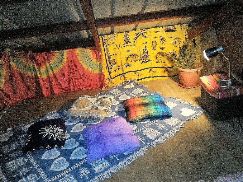 Hotel Tribuhaus Backpackers Inn
