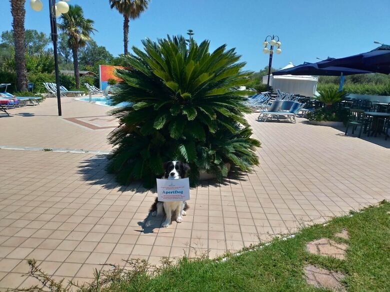 Hotel Marina