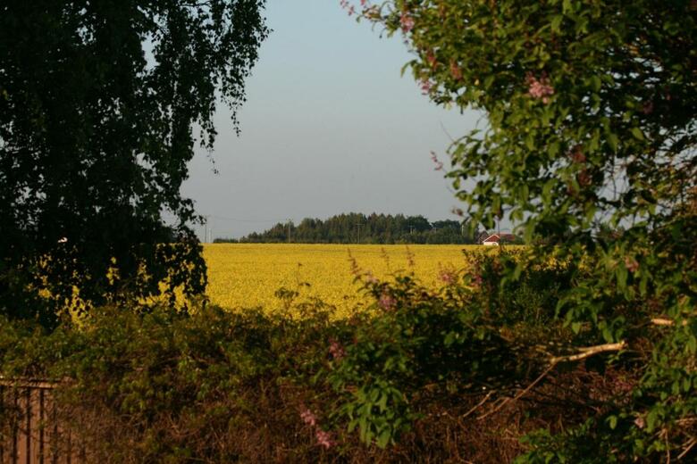 Lilla Huset P� Sl�tten B&B