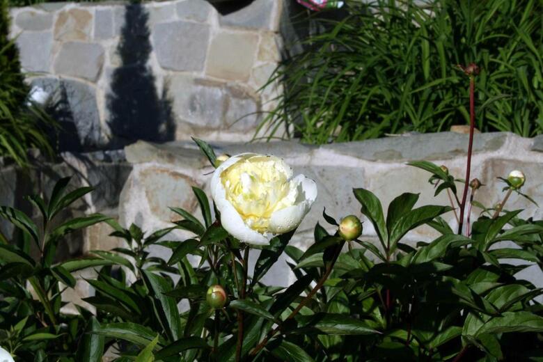 Lilla Huset P� Sl�tten B&B