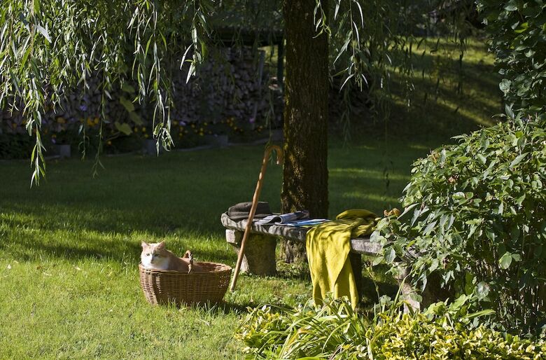 Hotel H�tel Auberge Du Morge
